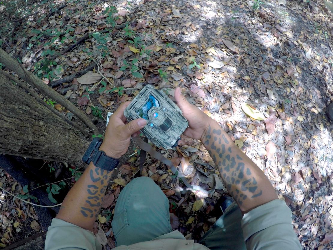 Reynold Cal places a camera trap, showing off his tattooed arms. 