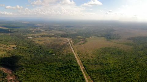 The Maya Forest Corridor lies between two of Central America's largest wilderness areas. In recent years, humans have developed the area, building highways across it.