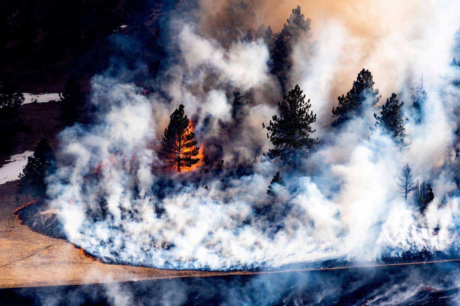 A tree goes up in flames as the NCAR Fire burns in Boulder on March 26.
