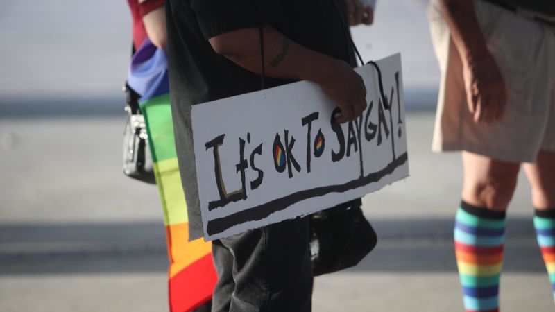 Florida Law Dubbed ‘dont Say Gay By Critics Gets First Court Challenge Cnn Politics 9015