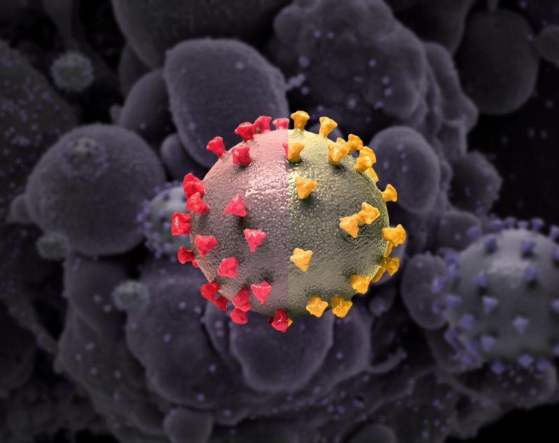 XBB.1.5 May Be ‘most Transmissible Subvariant Of Omicron To Date ...