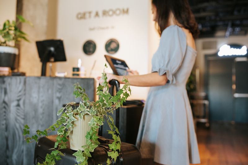 This Kentucky hotel invites guests to bring their houseplants CNN