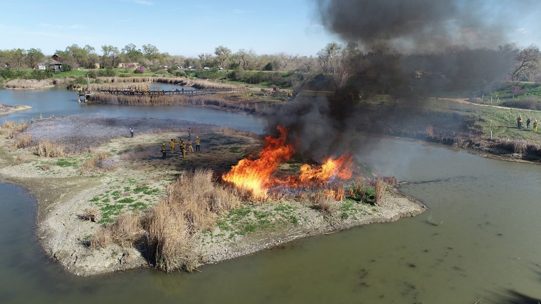 Native American fire practioners teach members of the California Department of Forestry and Fire Protection how to conduct a prescribed burn at the Tending and Gathering Garden in Woodland, California.