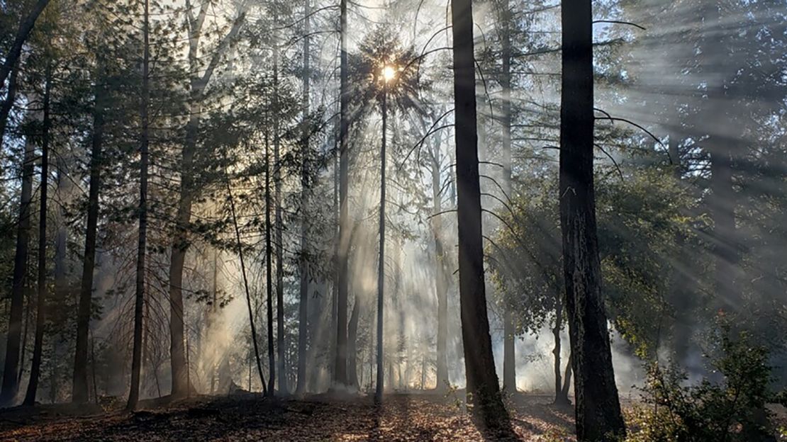 A cultural burning conducted by Native American fire practioner Don Hankins.