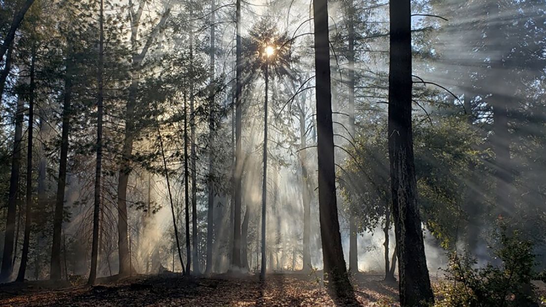 A cultural burning conducted by Native American fire practioner Don Hankins. 