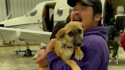 22040362 - Dogs rescued Alaska.00_00_02_02.Still001.jpg