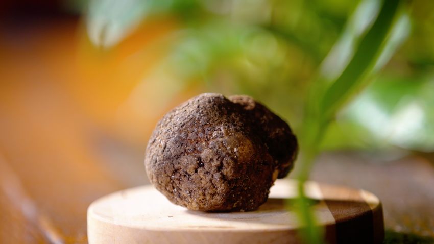 asheville truffles 3