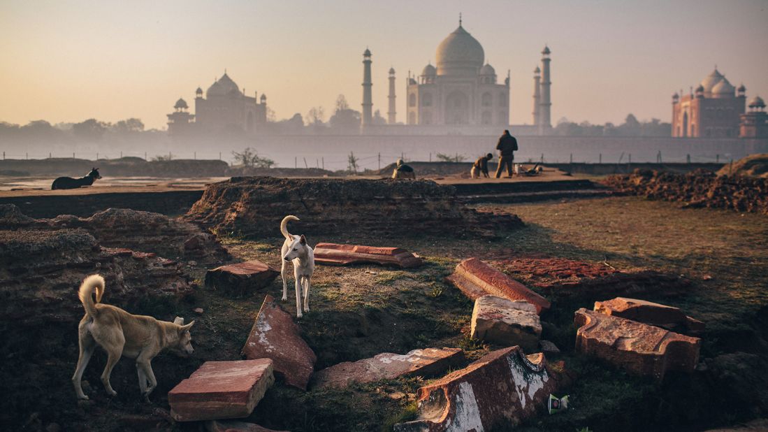 Joshua Cogan took this striking image of life in the shadow of the Taj Mahal, India.