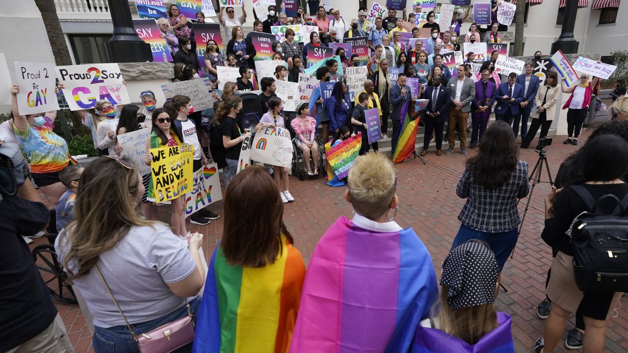 Demonstrators gather to oppose Florida's "Don't Say Gay" law.