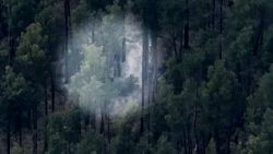 Pleitgen drone video russian tank trees