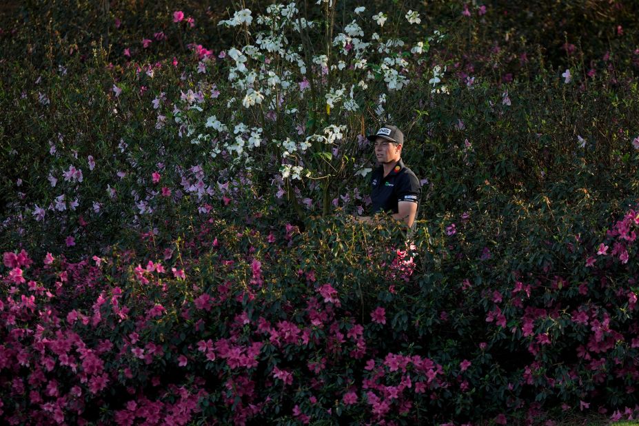 Viktor Hovland looks for his ball on the 13th hole Thursday.