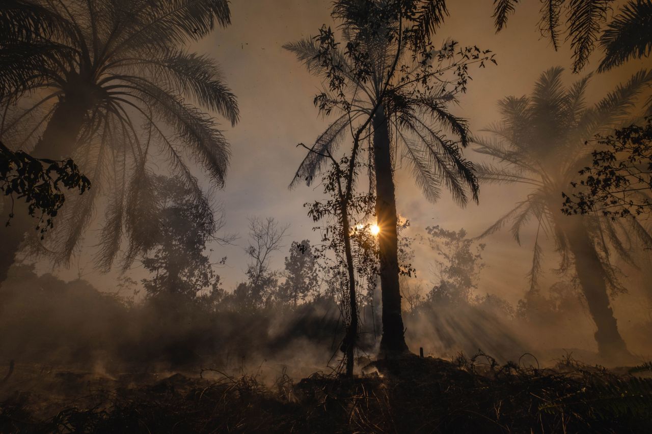 A peatland fire creates haze in Kampar, Indonesia, on Friday, April 1.