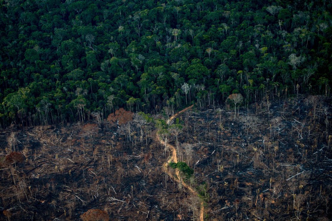 A deforested area of the Amazon rainforest in 2021. The Amazon stores human-caused carbon emissions in plants. But researchers say this carbon sink is threatened because of deforestation.