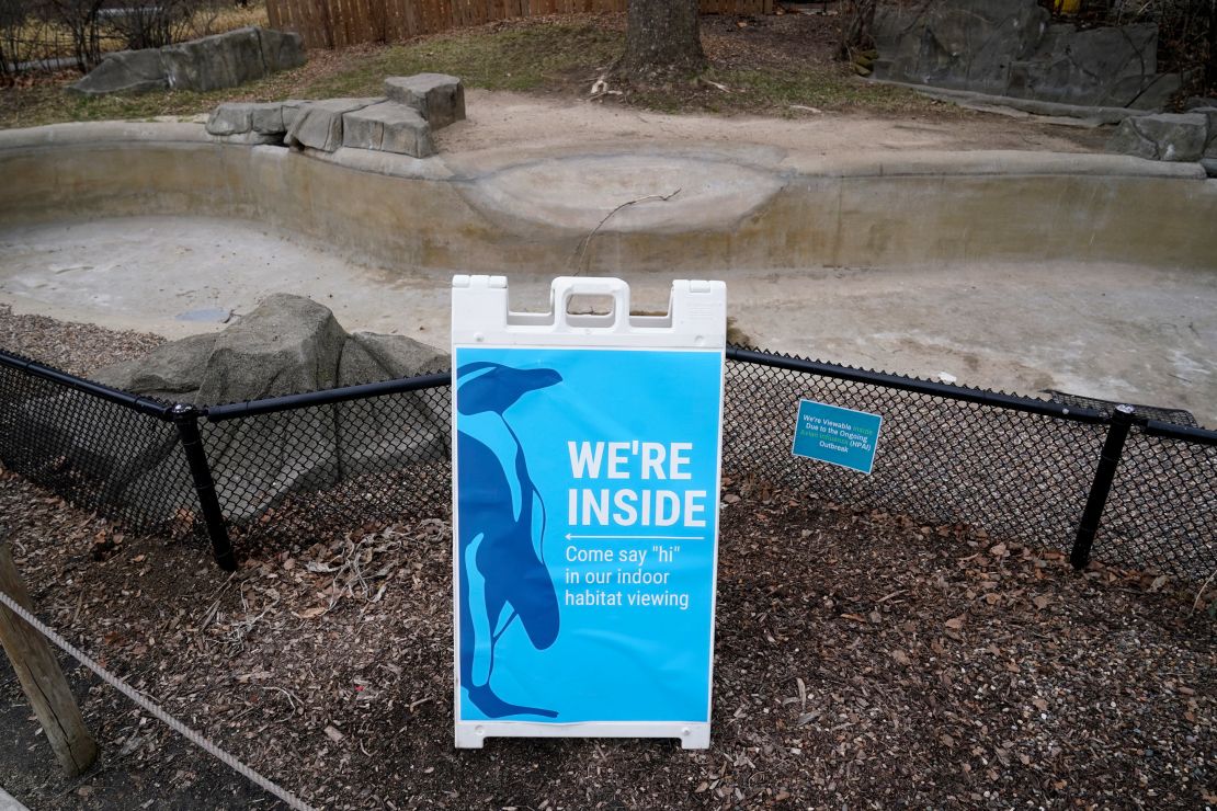 Zoos across North America are moving their birds indoors and away from people and wildlife as they try to protect them from the highly contagious and potentially deadly avian influenza.