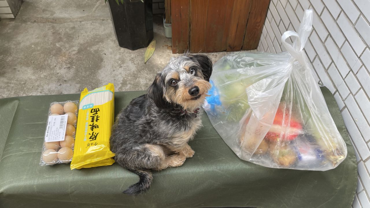 David Culver worries what may happen to his dog Chairman if he tests positive and has to quarantine.