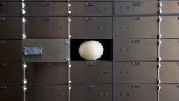 Open safety deposit box with ostrich egg inside