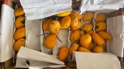03 shanghai lockdown mangoes rotate