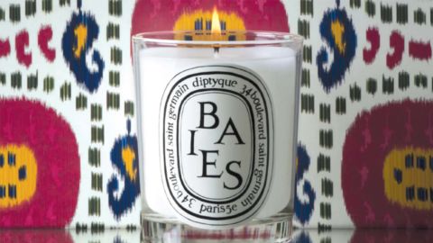 Diptyque Baies/Berries candle