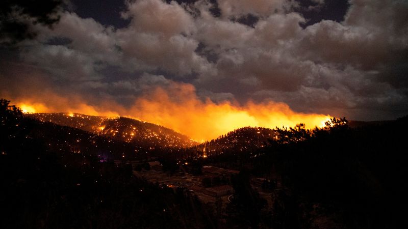 Подхранваните от изменението на климата горски пожари струват на икономиката