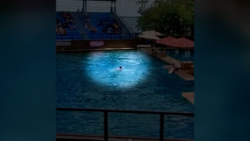 miami seaquarium dolphin attack