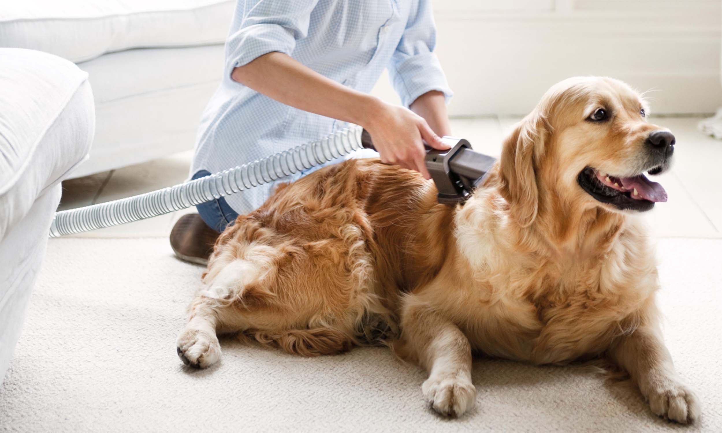 15 ways to use your vacuum for easier spring cleaning