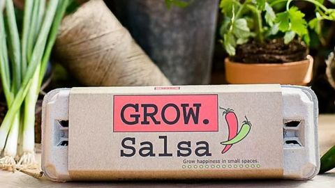 Salsa Grow Kit