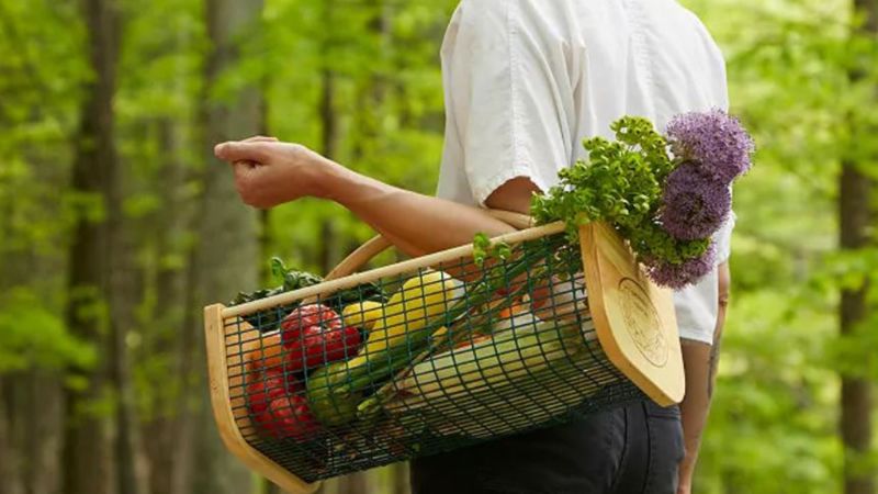 Mother's day best sale gardening gift baskets