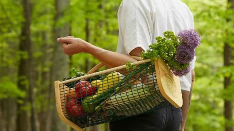 Gardener's Harvest Basket 