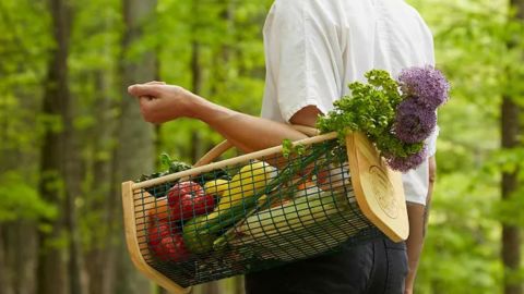 25 Mother’s Day gardening gifts for moms with a green thumb