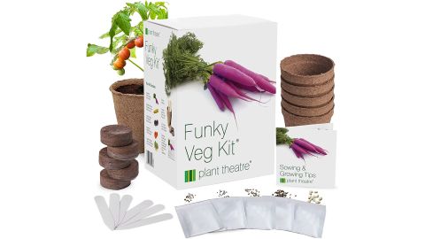 Plant Theatre Funky Veg Kit