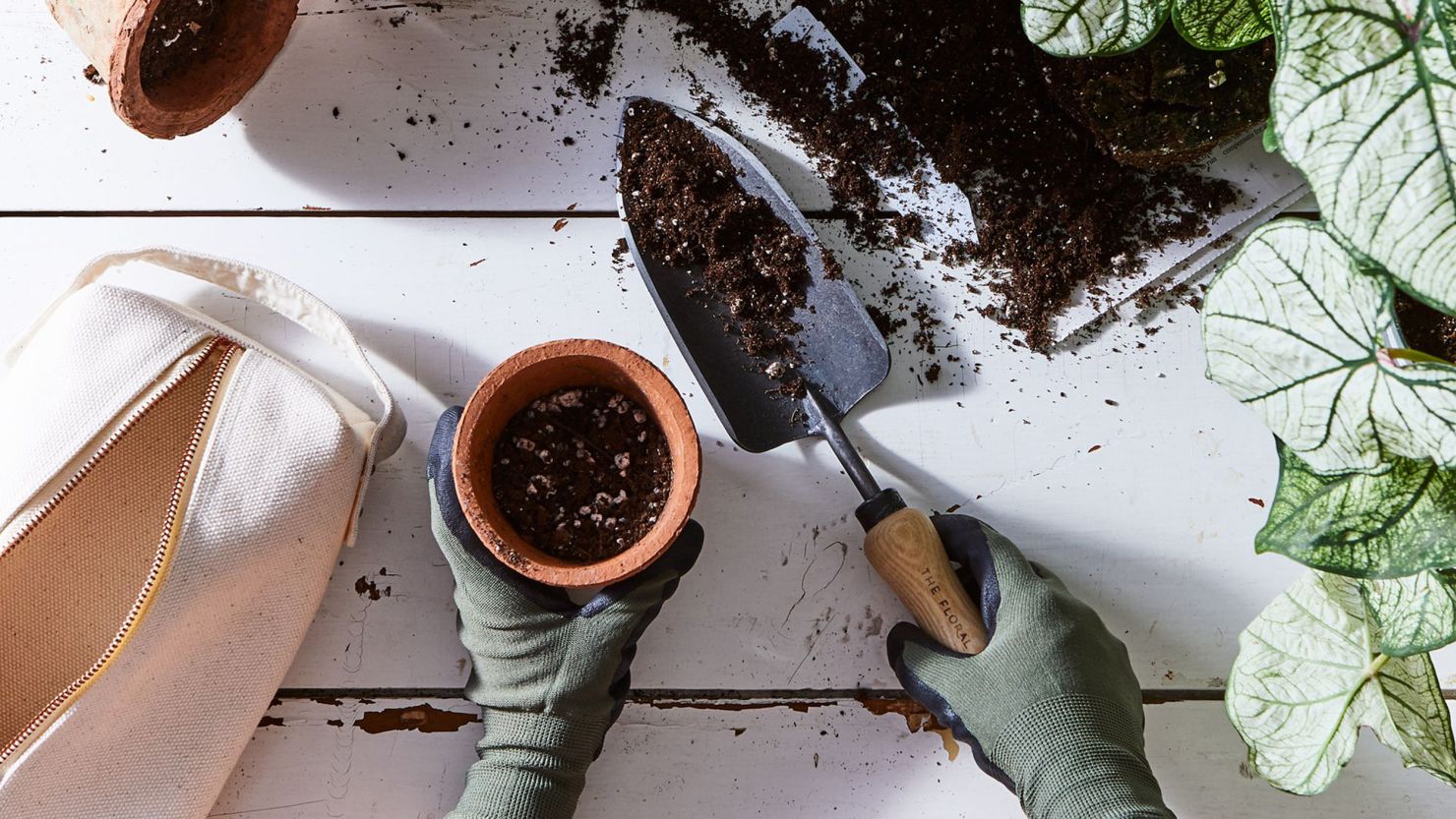 25 Mother's Day gardening gifts for moms with a green thumb