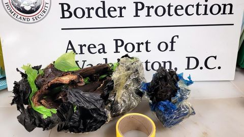 CBP discovered charred bat in the baggage of a Maryland man who arrived from Ghana.