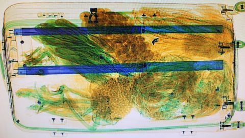A bat's skeleton can be seen in the bottom left in this x-ray image of the traveler's baggage