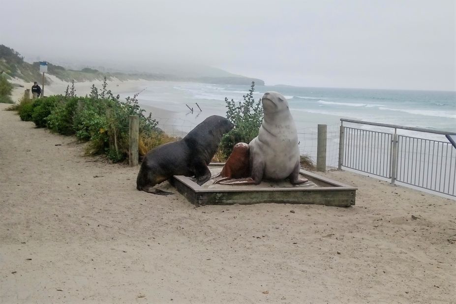 The return of sea lions to New Zealand's mainland is linked to one female, dubbed "Mum," who arrived at St Clair beach, near Dunedin, in the early 1990s. She was the first sea lion to give birth on the mainland in 150 years, and her descendants have recolonized the area. To commemorate the heroine, a statue of Mum -- pictured here with a real-life admirer -- was erected on the esplanade above St Clair.<br />