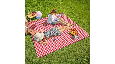 Three Donkeys Picnic & Beach Blanket