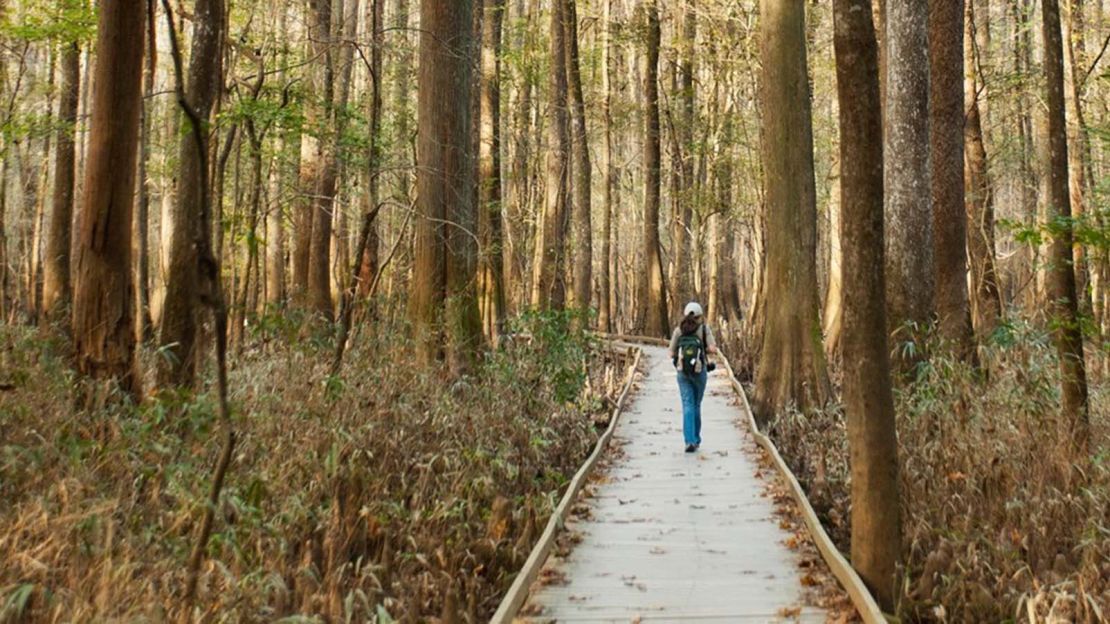 If you don't like crowds, consider sites with fewer visitors, such as Congaree National Park in South Carolina.