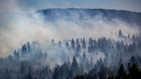 The McBride Fire ravaged hilltops above Ruidoso on April 13, 2022.