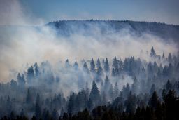 The McBride Fire ravaged hilltops above Ruidoso on April 13, 2022.