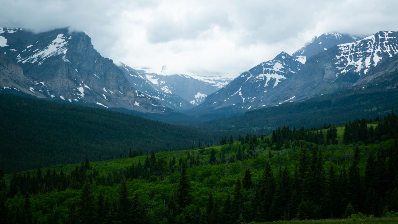 View of Glacier National Park, Montana, US, on June 19, 2020.(Photo by Karla Ann Cote/NurPhoto via Getty Images)