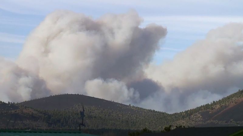 Tunnel Fire: Rapidly moving wildfire in Arizona destroys dozens of structures and forces hundreds to evacuate