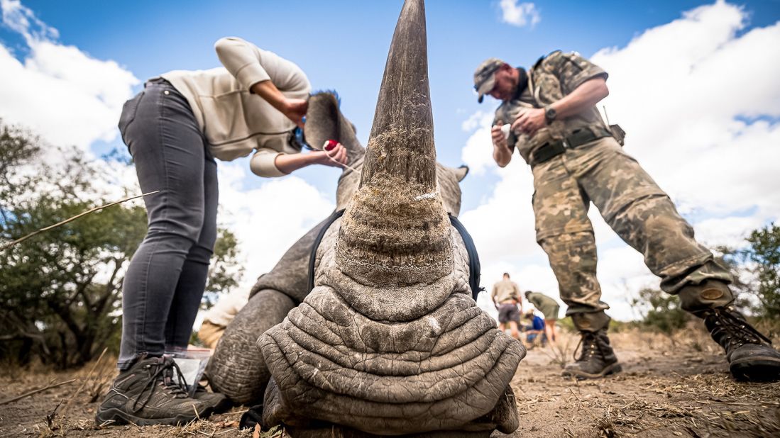 She hopes that her photos will draw attention to conservation efforts so that threatened animals --  such as the rhinoceros, often hunted for their horns -- will be more protected.