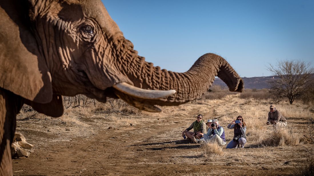 Gatland is a rising star among wildlife photographers in Southern Africa, where she says the vast majority of those in the business are male. She says she hopes her photography will inspire other female photographers to discover the world.
