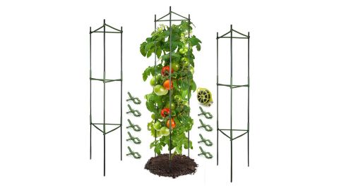food gardening beginners Growneer 3-Pack Tomato Cages