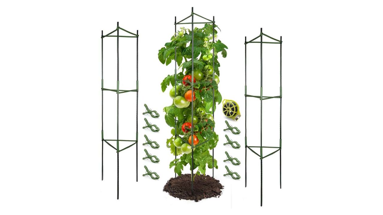 food gardening beginners tomato cage