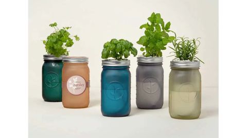 food gardening beginners Mason Jar Indoor Herb Garden