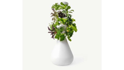 food gardening beginners Lettuce Grow The Farmstand