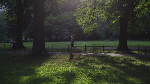 All it takes to forest bathe is time in nature and focused attention, experts said.