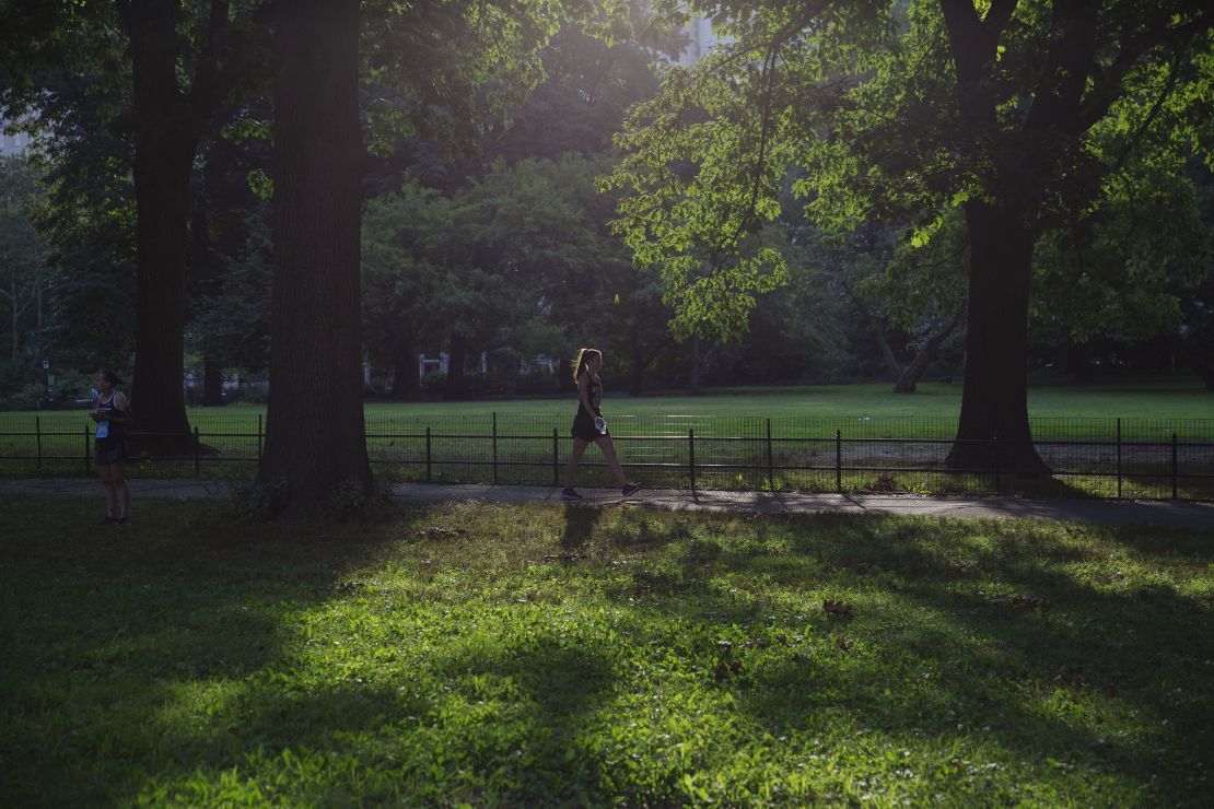 All it takes to forest bathe is time in nature and focused attention, experts said.