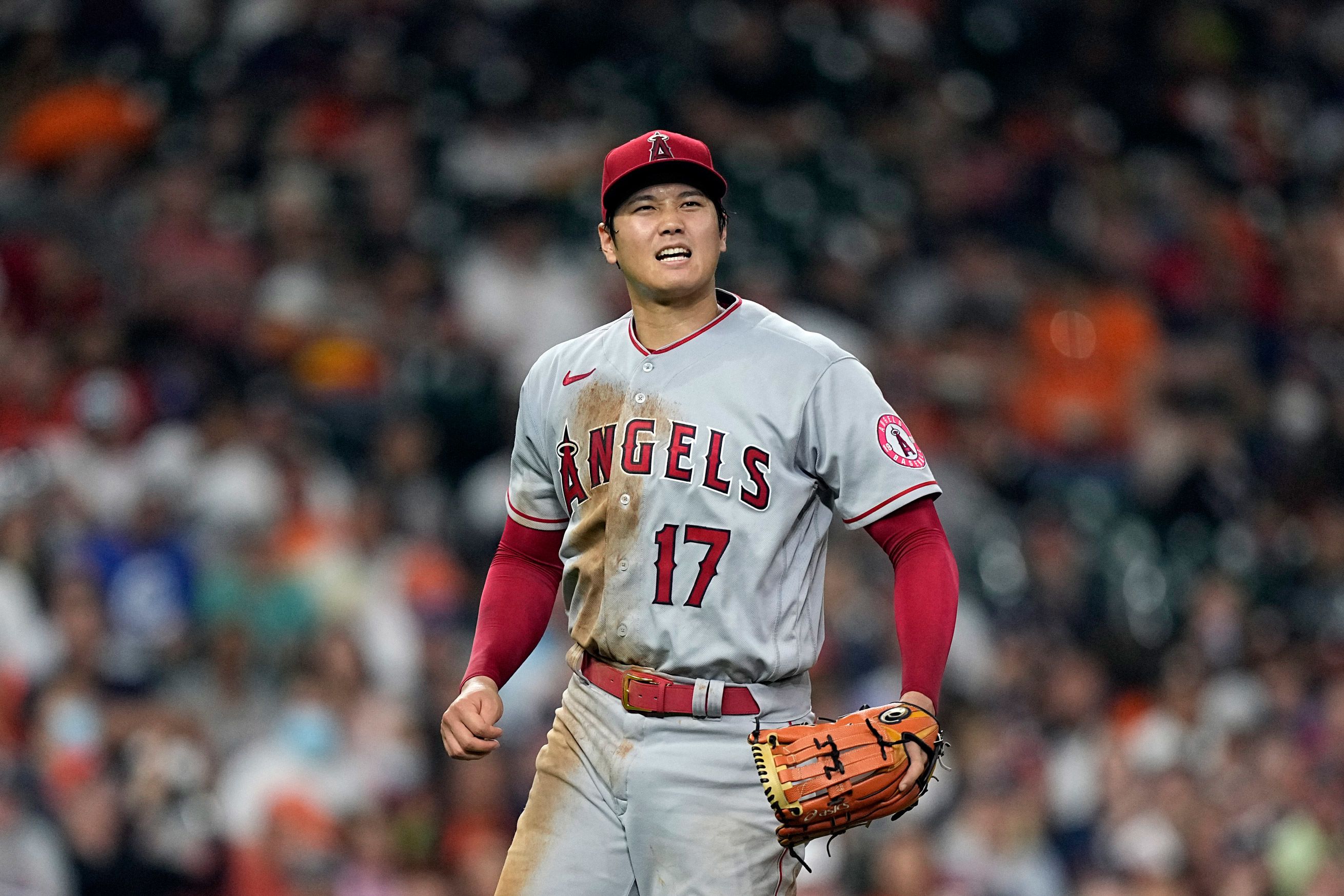 Los Angeles Angels fans love seeing Shohei Ohtani joking around with  opponent after being hit by a pitch: The greatest player and the nicest  guy, How can u not root for this