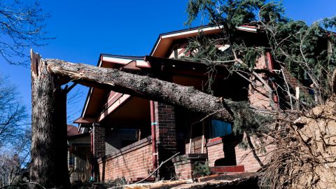 A tall broken tree is pictured on Tuesday, April 17, 2018, in Denver, Colorado. Extreme winds caused many power outages in the area. 